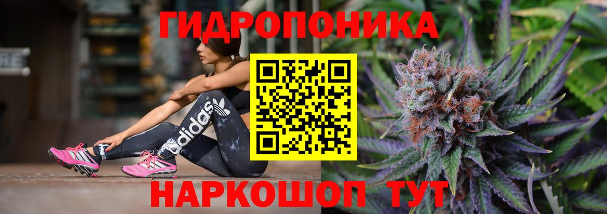 Шишки марихуана Bruce Banner Кимовск